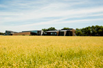 ECCO HQ in T&oslash;nder