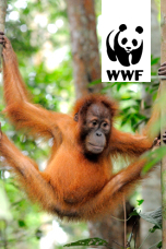 WWF